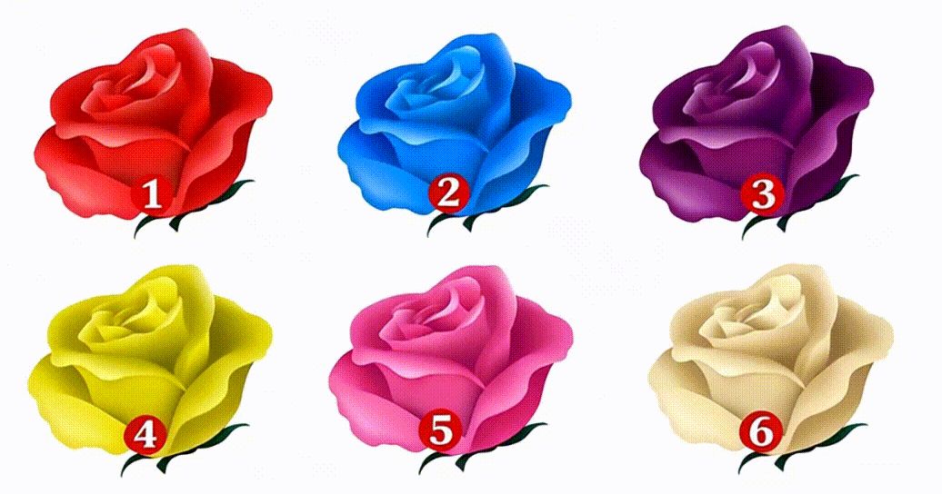Qual é a sua vibe floral?