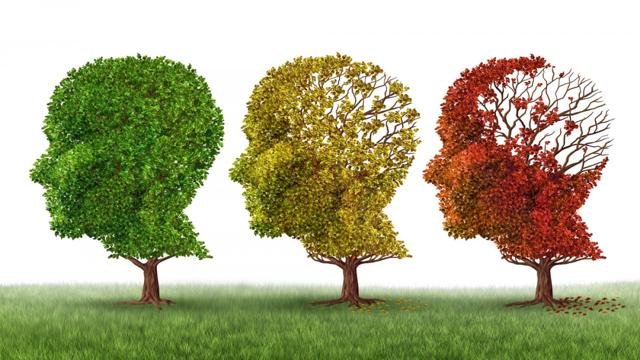 Você vai pegar a doença de Alzheimer?