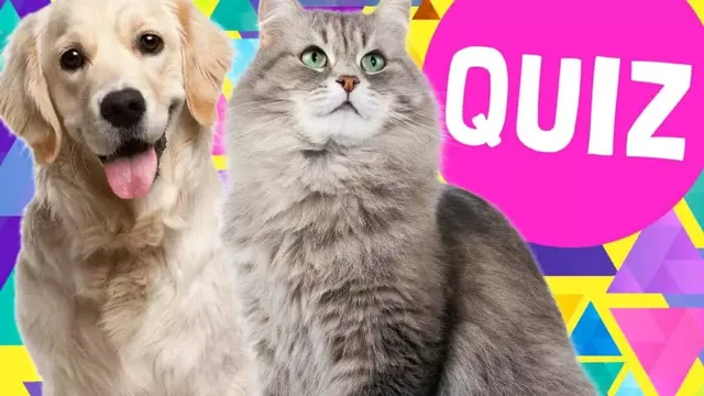 Você é um gato ou cachorro?